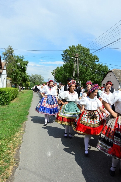 DSC_0319 (Medium).JPG